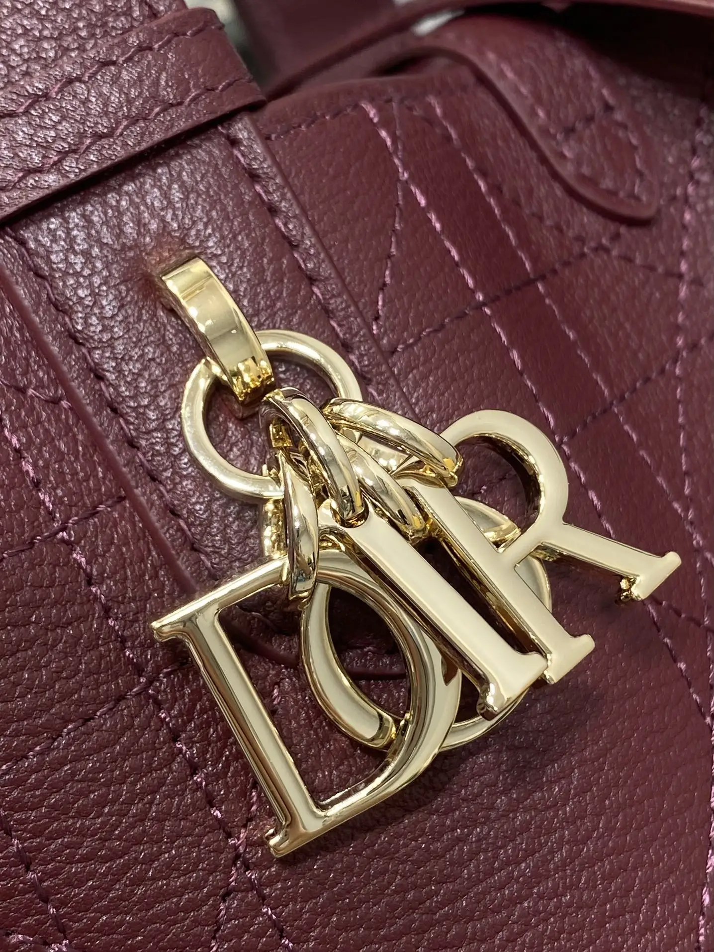 Dior Toujours Small Handbag - Detail view 2