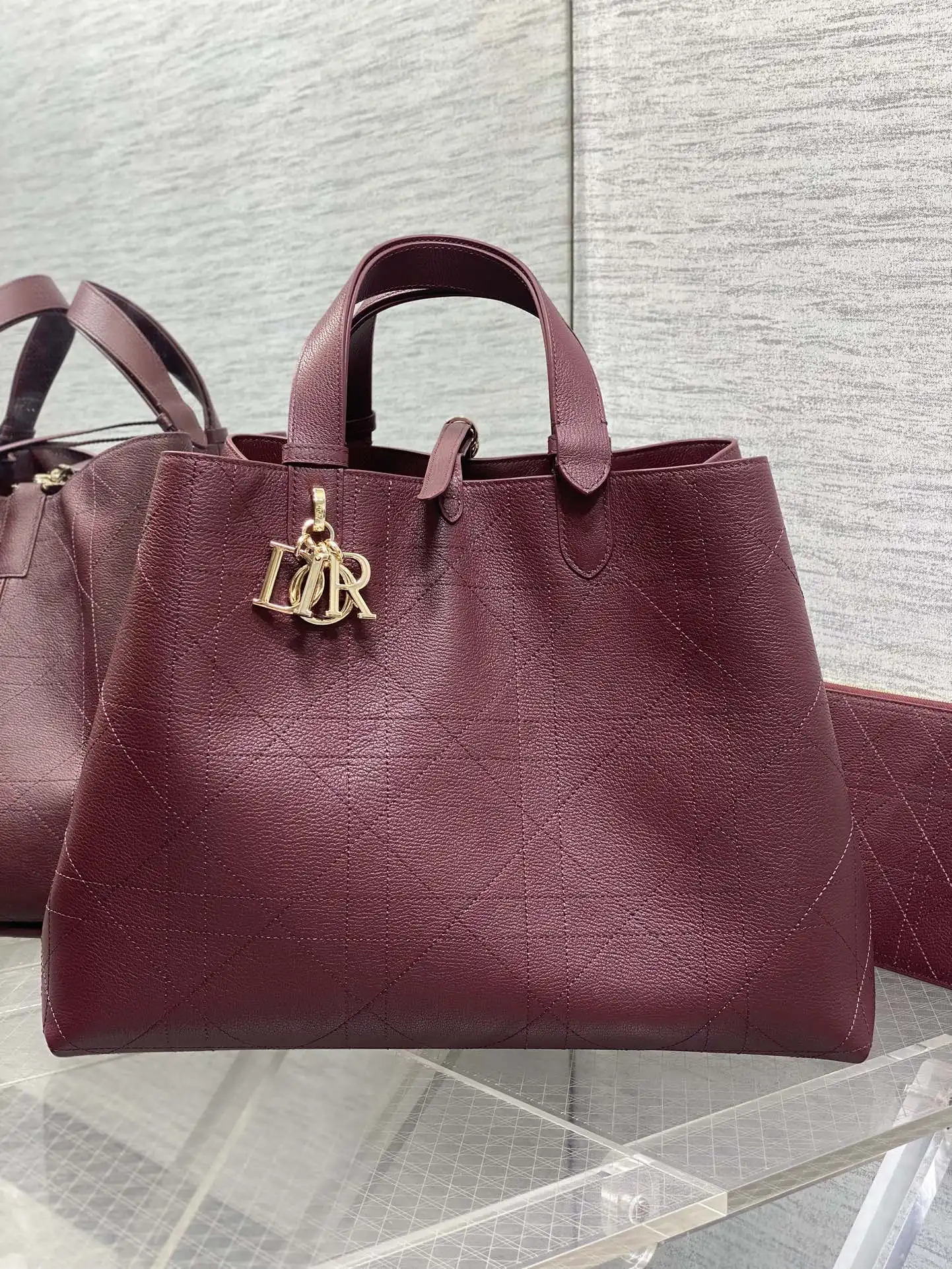 Dior Toujours Large Handbag - Detail view 1
