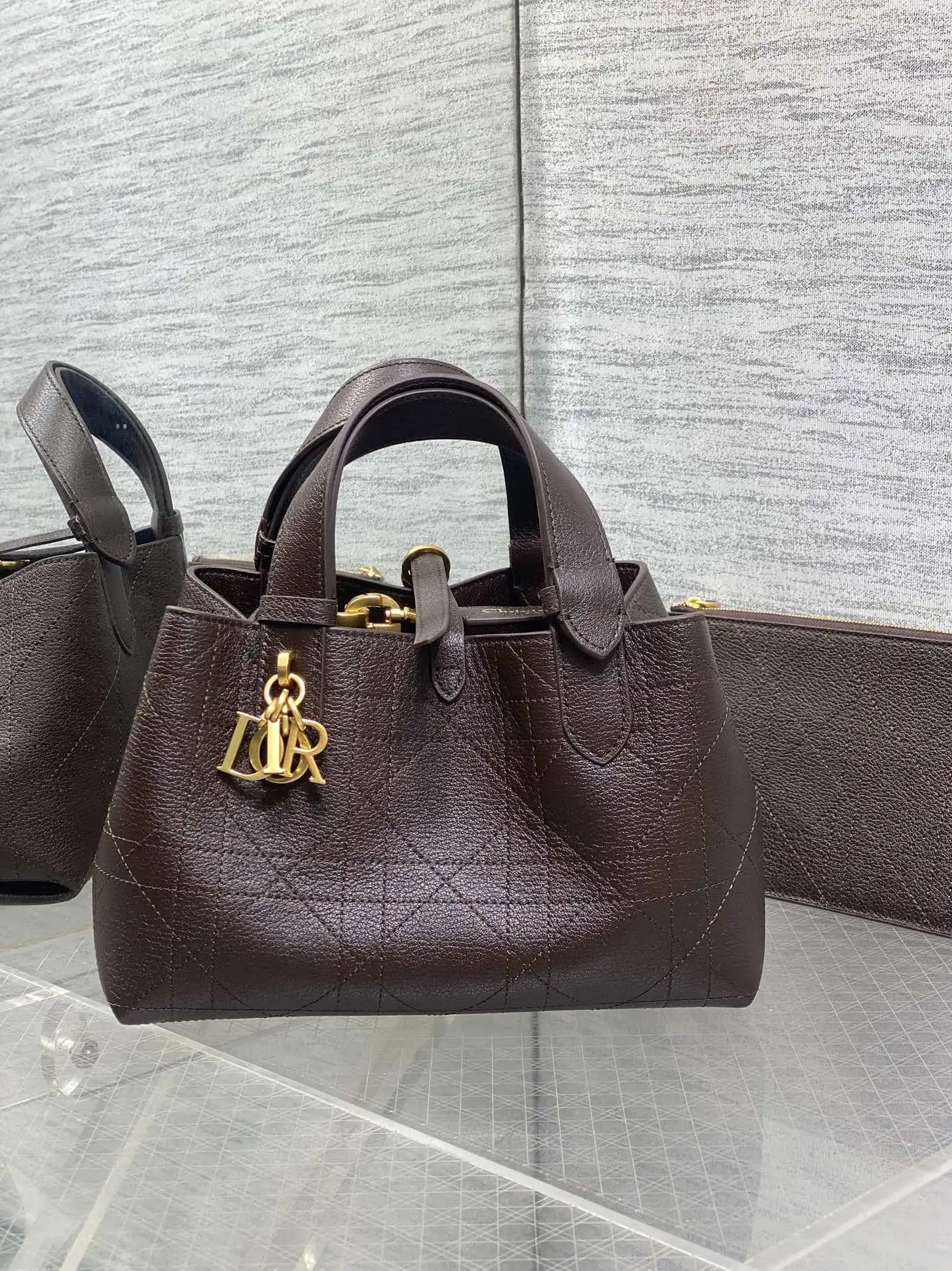 Dior Toujours Small Handbag