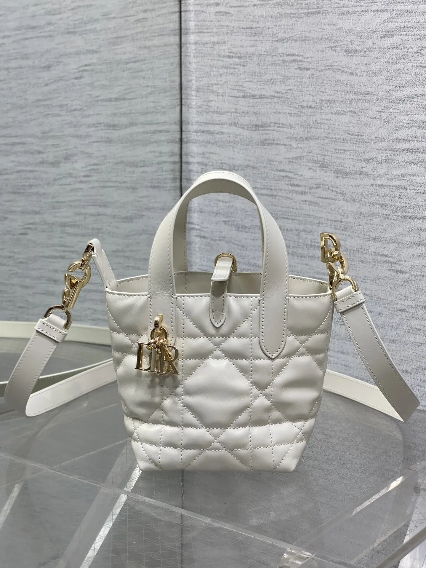 迪奥白色Toujours竖版系列迷你 女士手提包