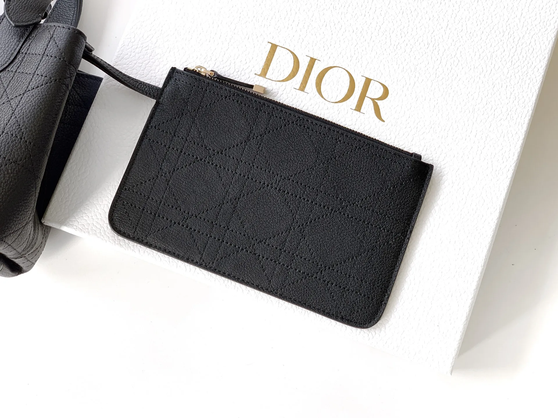 Dior Toujours handbag, Spring-Summer 2023 Ready-to-Wear collection - Detail view 5