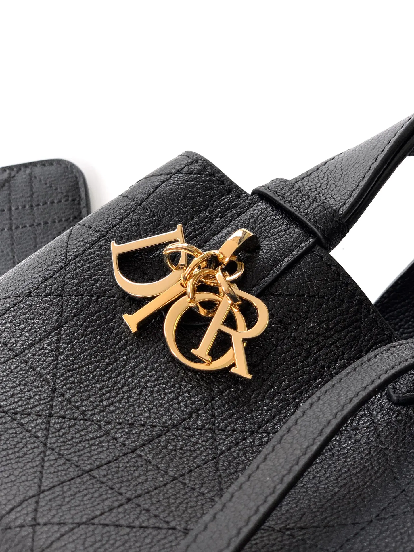 Dior Toujours handbag, Spring-Summer 2023 Ready-to-Wear collection - Detail view 6
