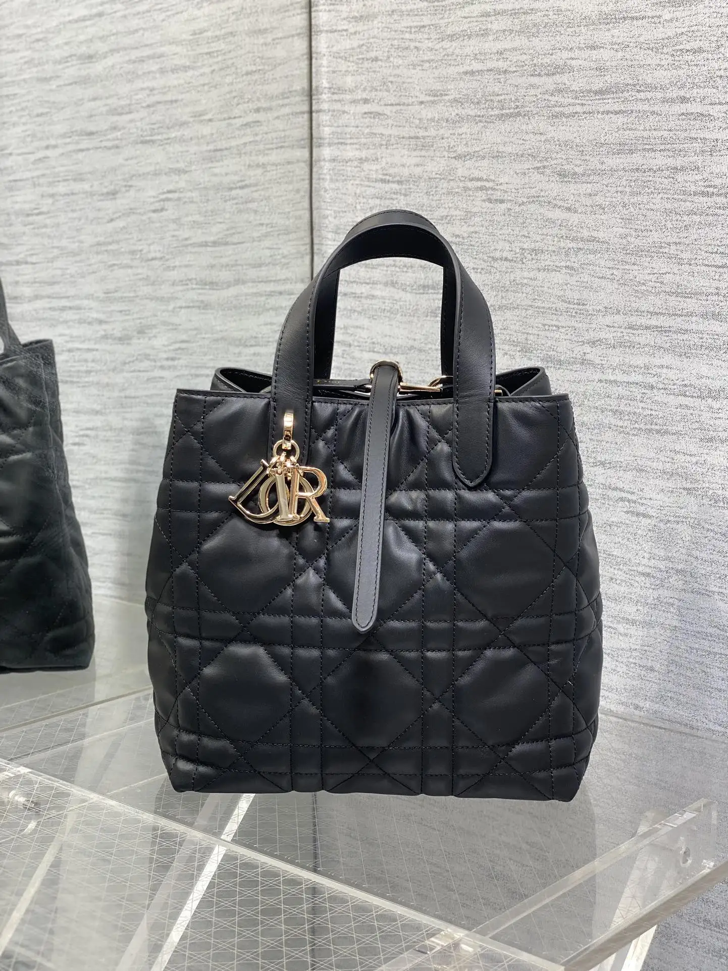 Dior Black Toujours Vertical Medium Handbag - Detail view 1