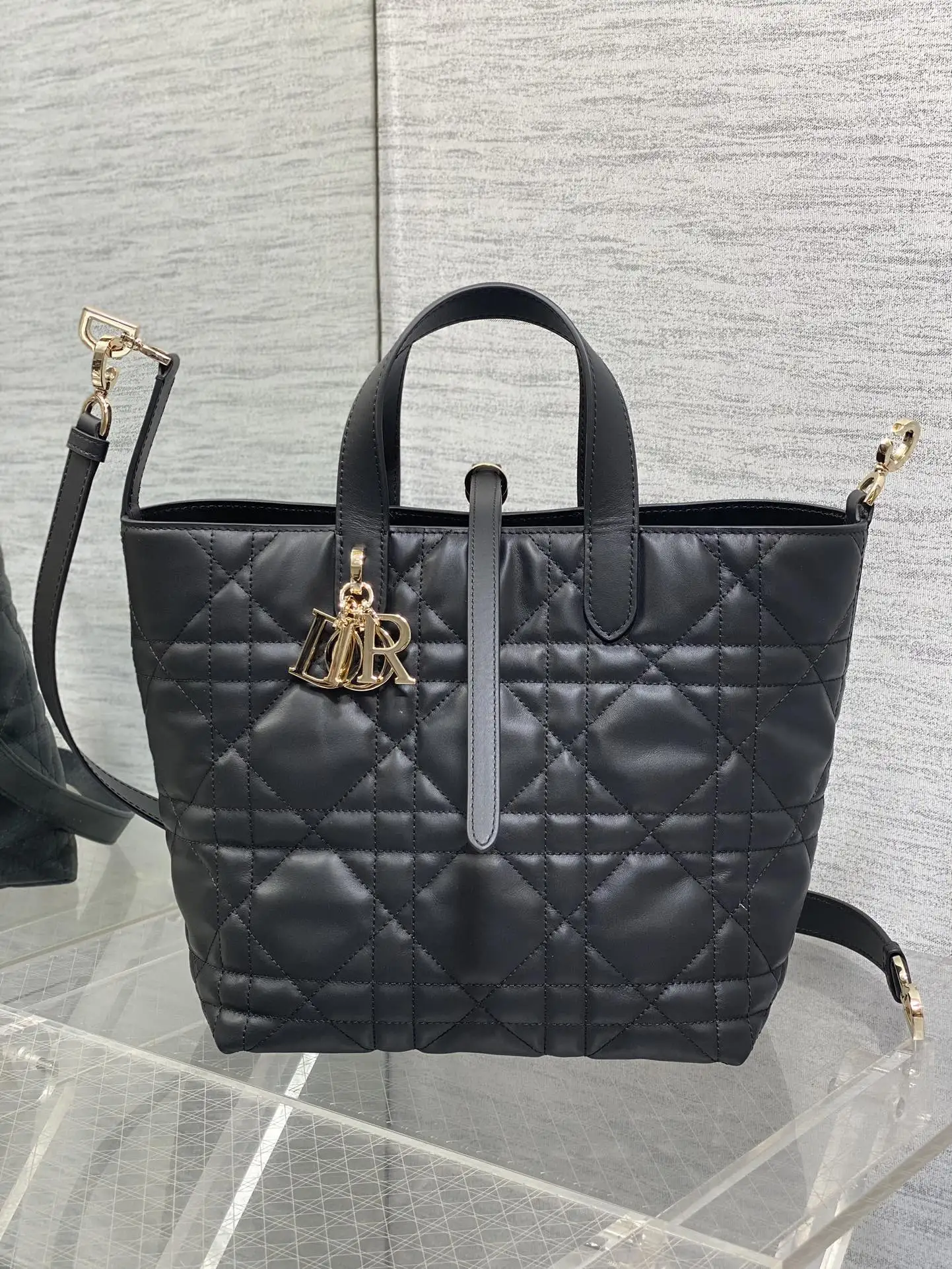 Dior Black Toujours Vertical Medium Handbag - Detail view 2