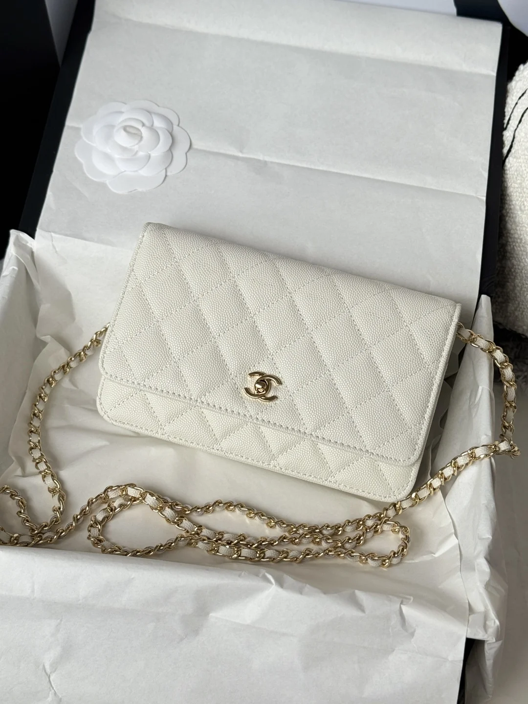 LV26287白花 Side Trunk 中号手袋 - 细节图 2