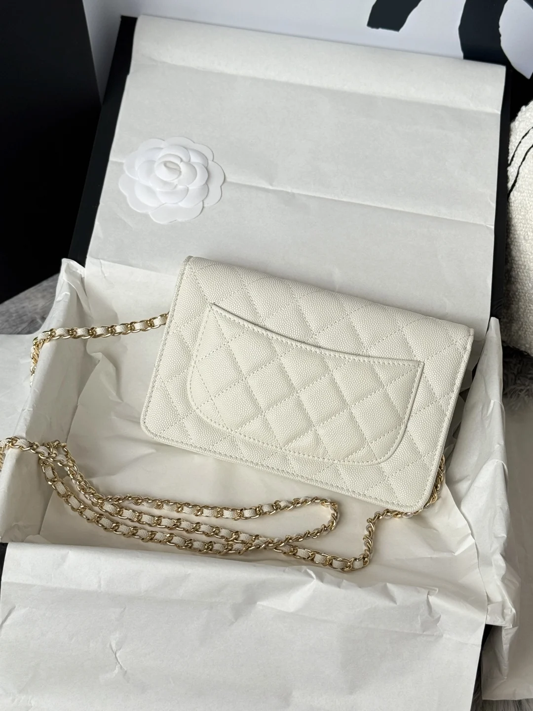 LV26287白花 Side Trunk 中号手袋 - 细节图 3