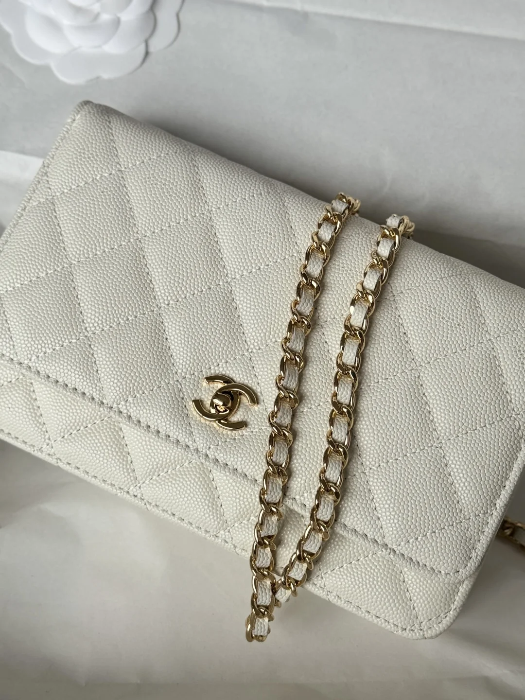 LV26287白花 Side Trunk 中号手袋 - 细节图 6