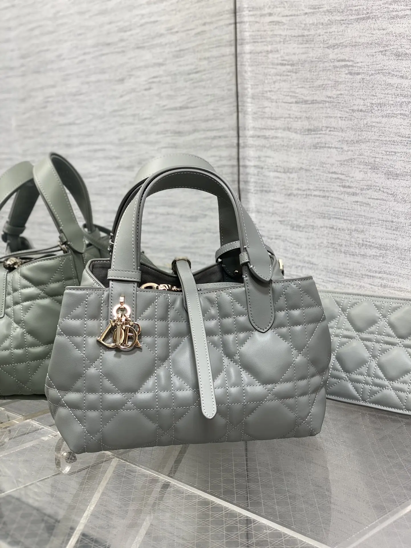 Dior Gray Toujours Small Handbag - Detail view 1