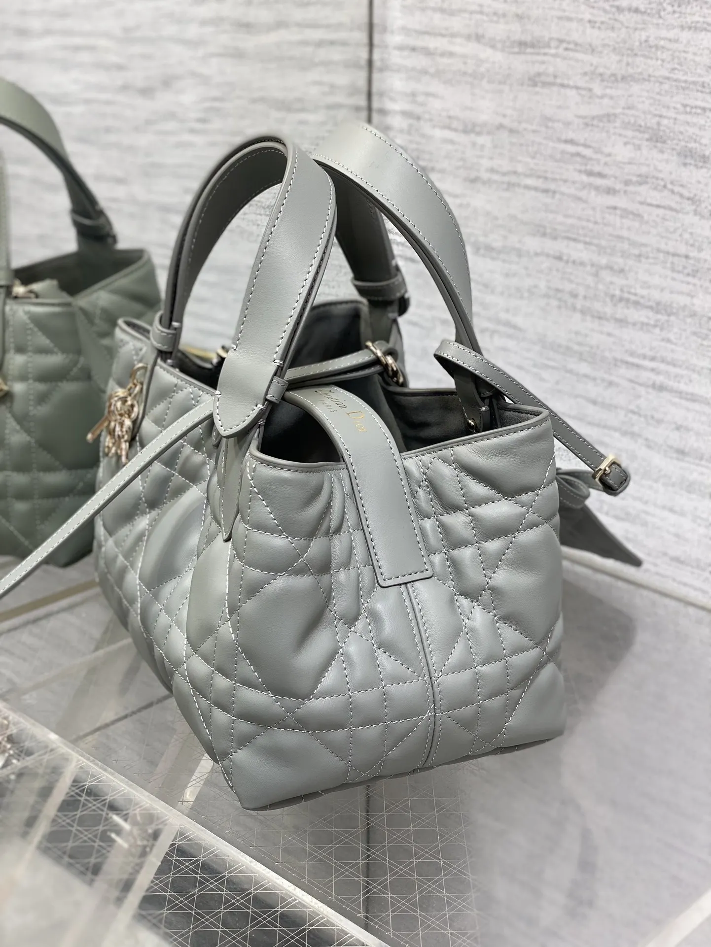 Dior Gray Toujours Small Handbag - Detail view 4