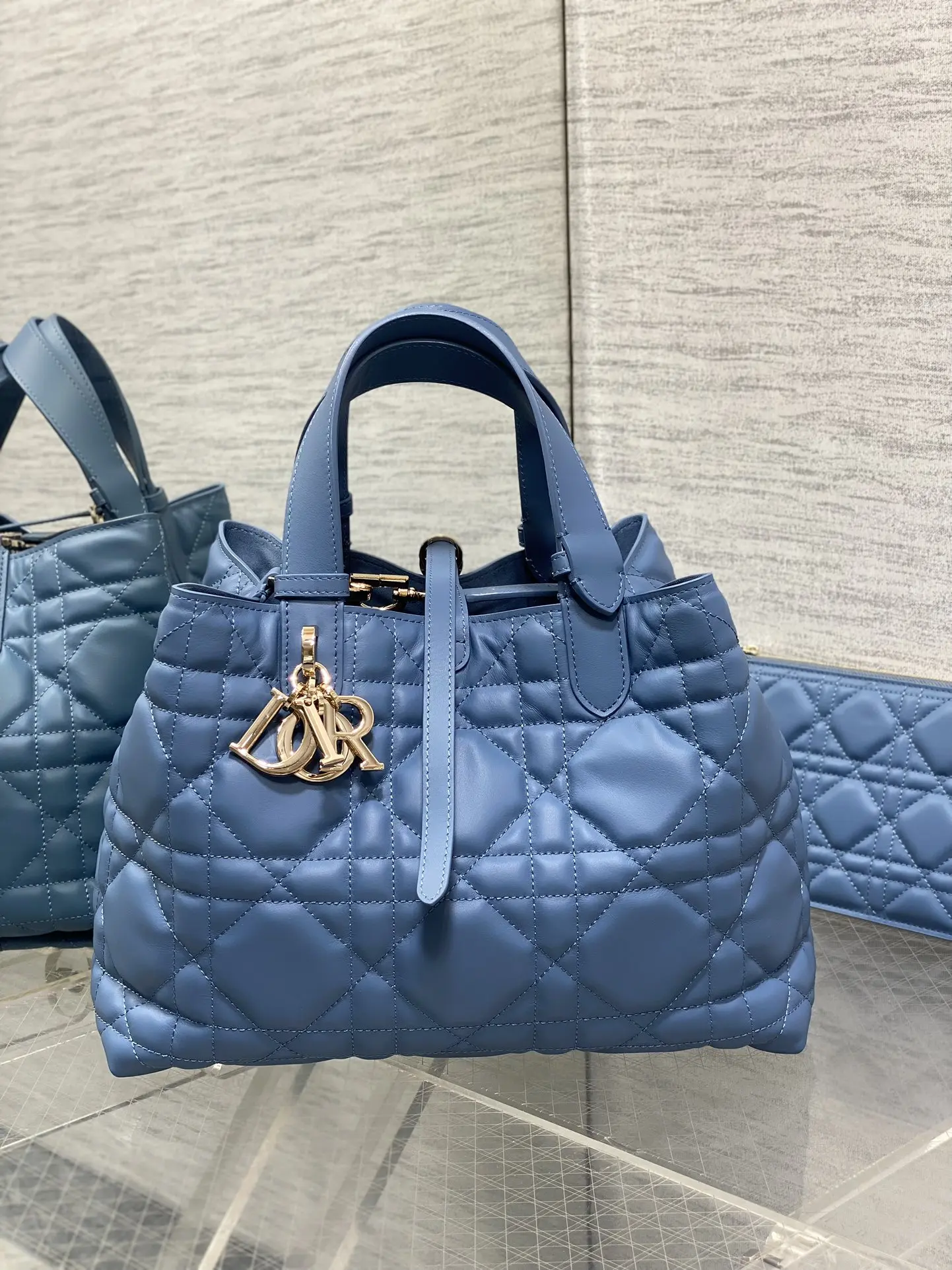 Dior Medium Toujours Handbag in Blue