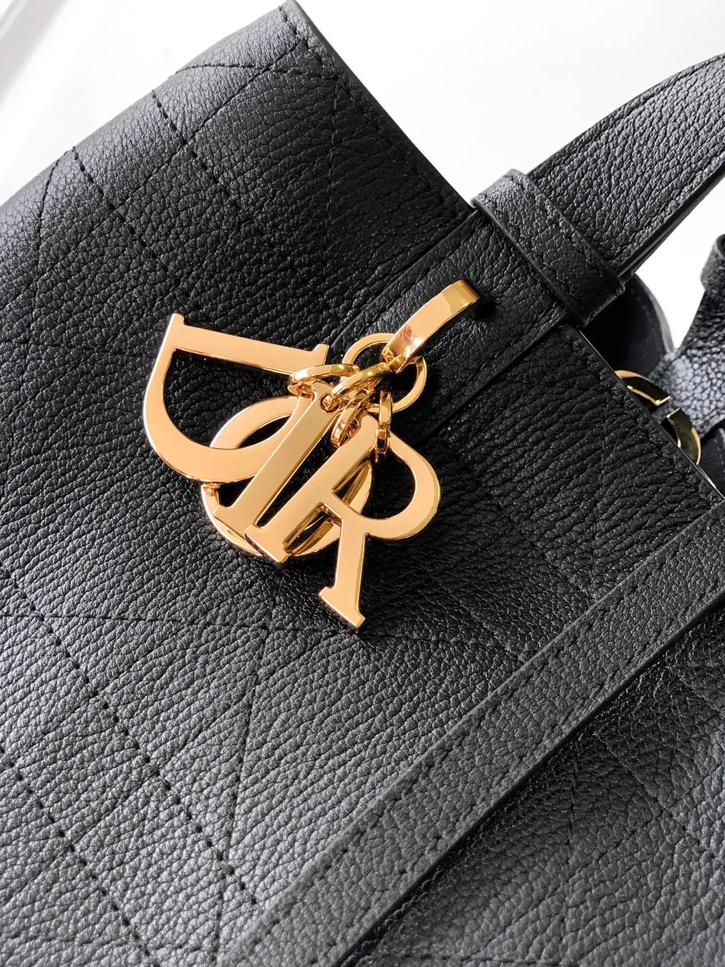 Dior Toujours handbag, Spring-Summer 2023 Ready-to-Wear collection - Detail view 6