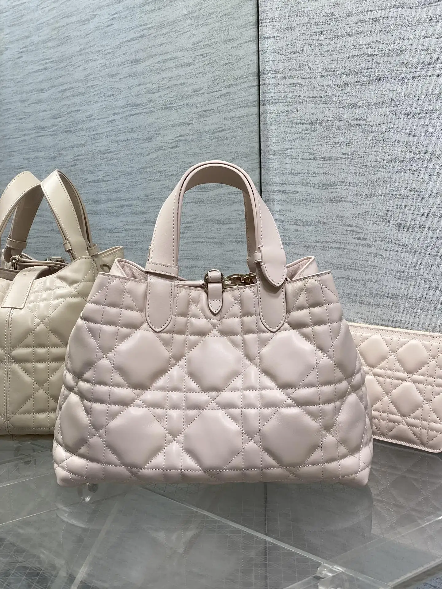 迪奥胭脂粉Toujours系列 中号 女士手提包 - 细节图 3