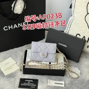 0238 SS19 Magnetic Snap Chain Bag Small Chanel Chain Bag