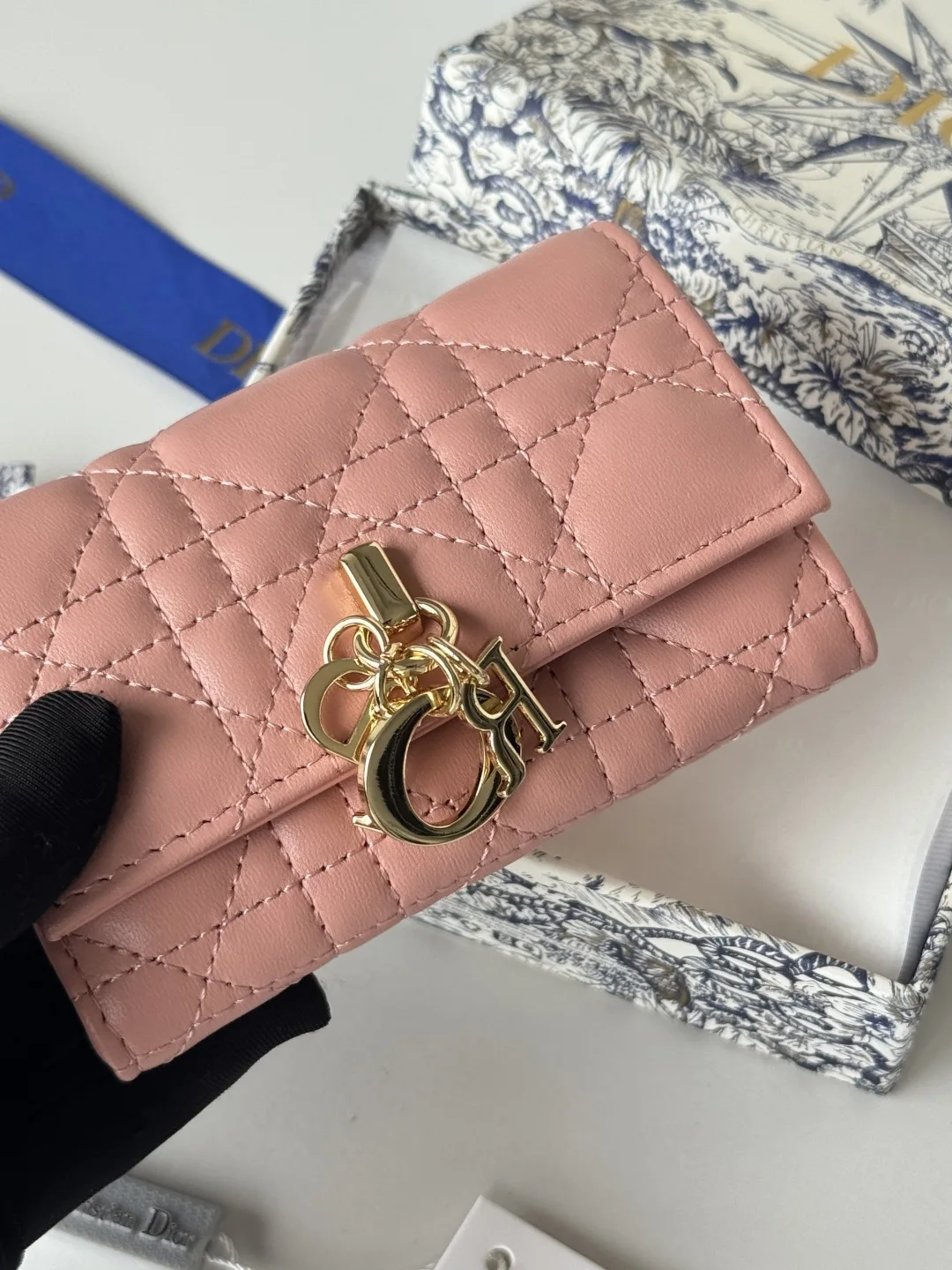 Dior S0966ONMJ_M413 My Dior Glycine Wallet - Detail view 6