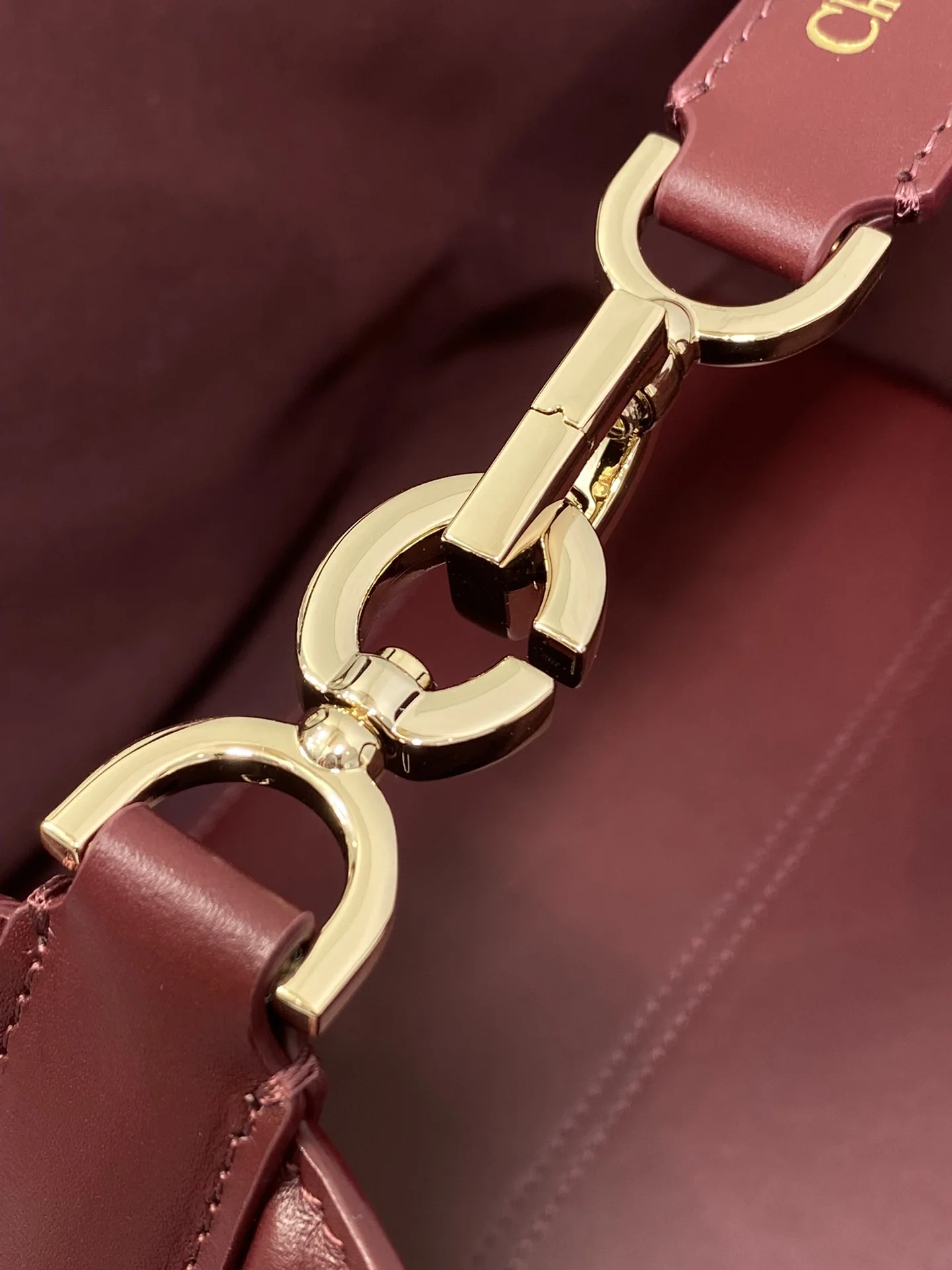 Dior Medium Toujours handbag in burgundy - Detail view 5