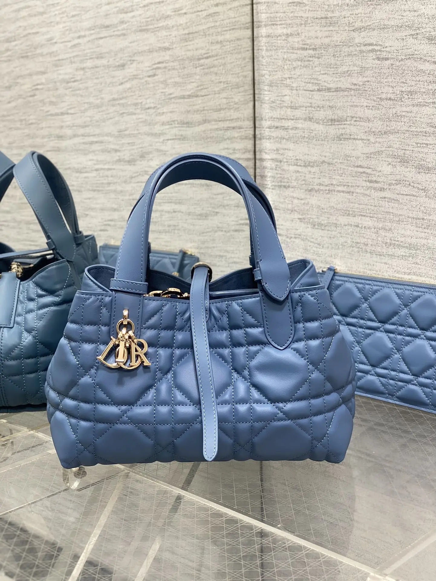 Dior Blue Toujours Small Handbag