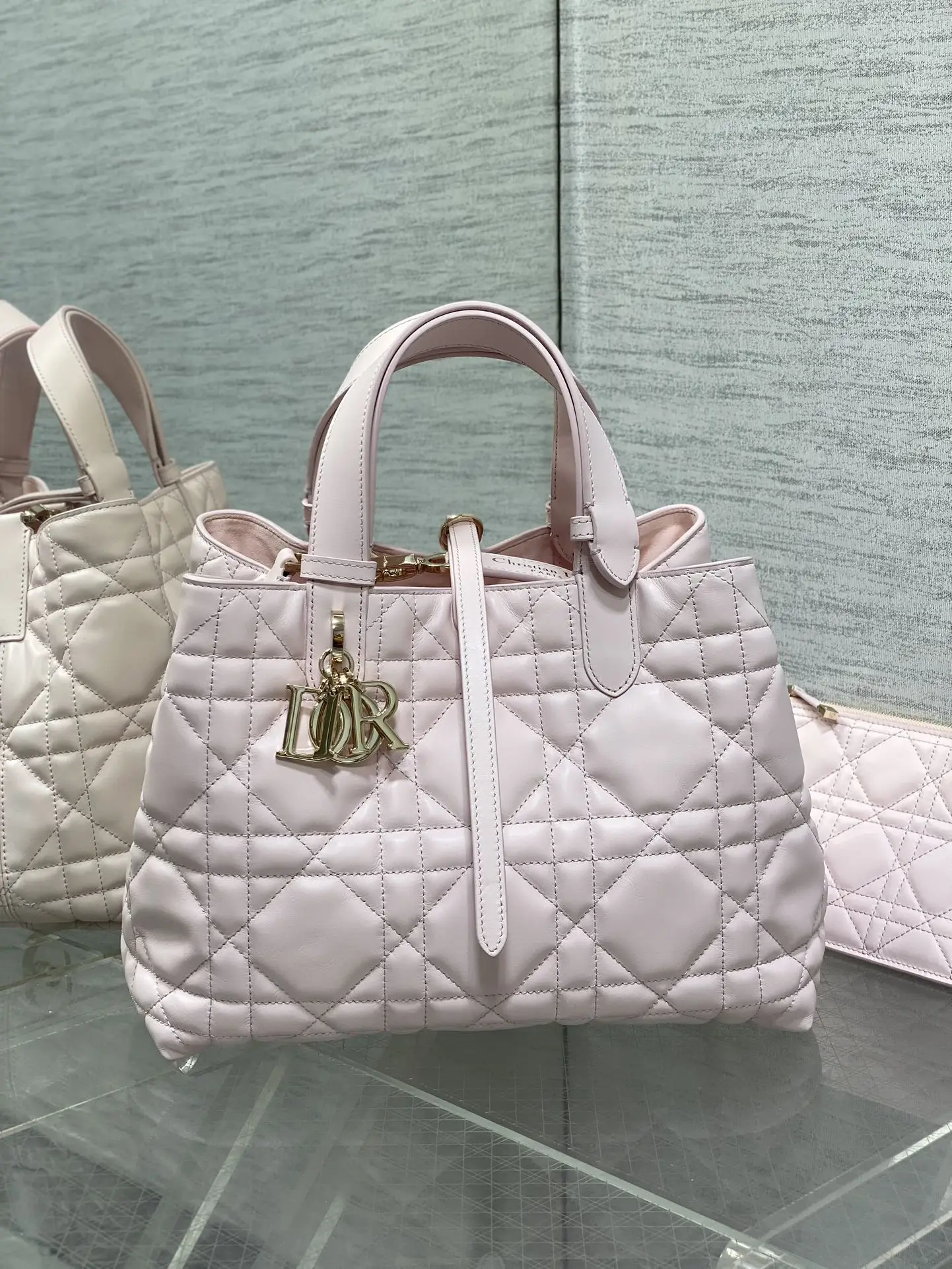 Dior Medium Toujours Handbag in Sweet Pink