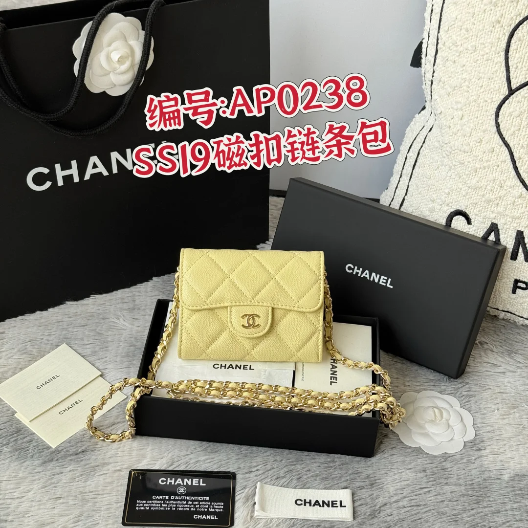 Chanel 0238 SS19 Magnetic Snap Chain Bag Small Chanel Chain Bag