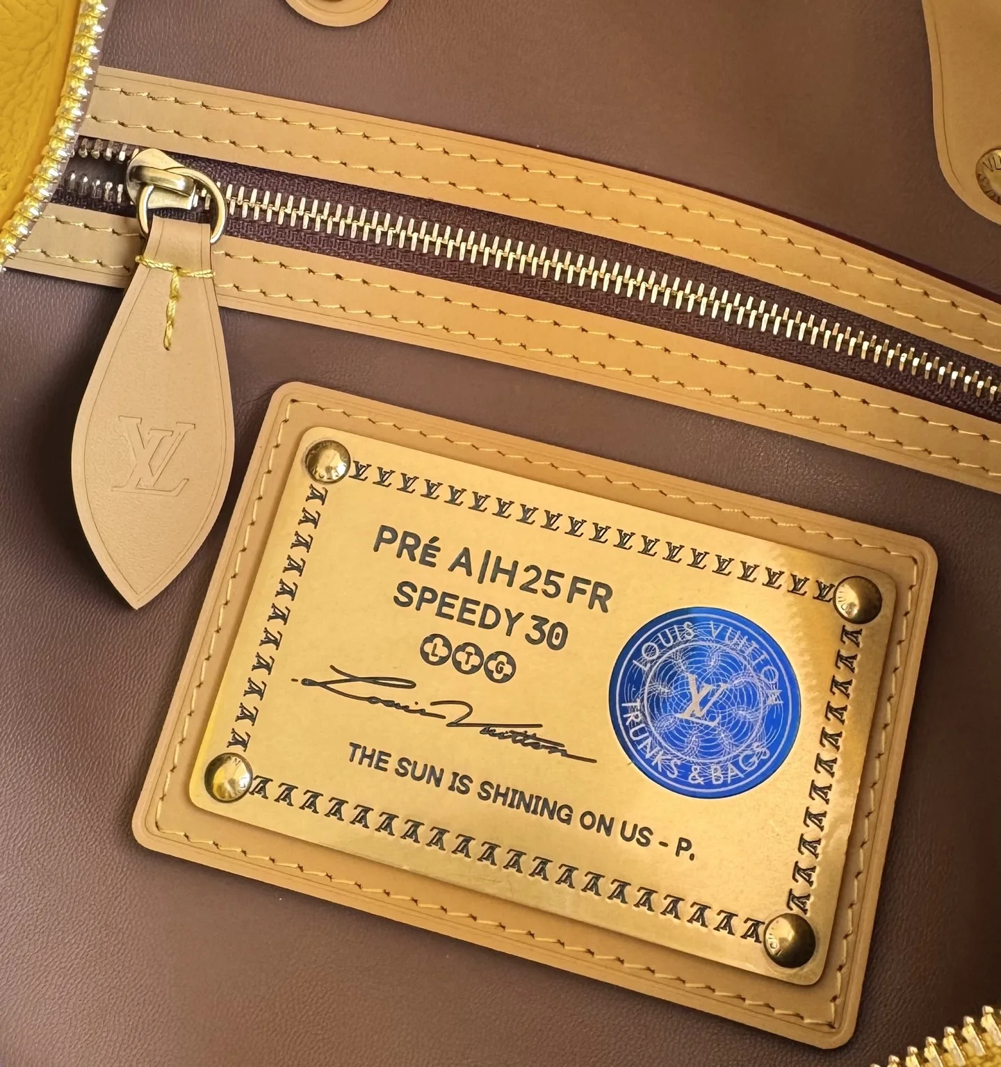 LV海外原单M13915 Speedy P9 Bandouliere 30 手提斜挎包 - 细节图 8