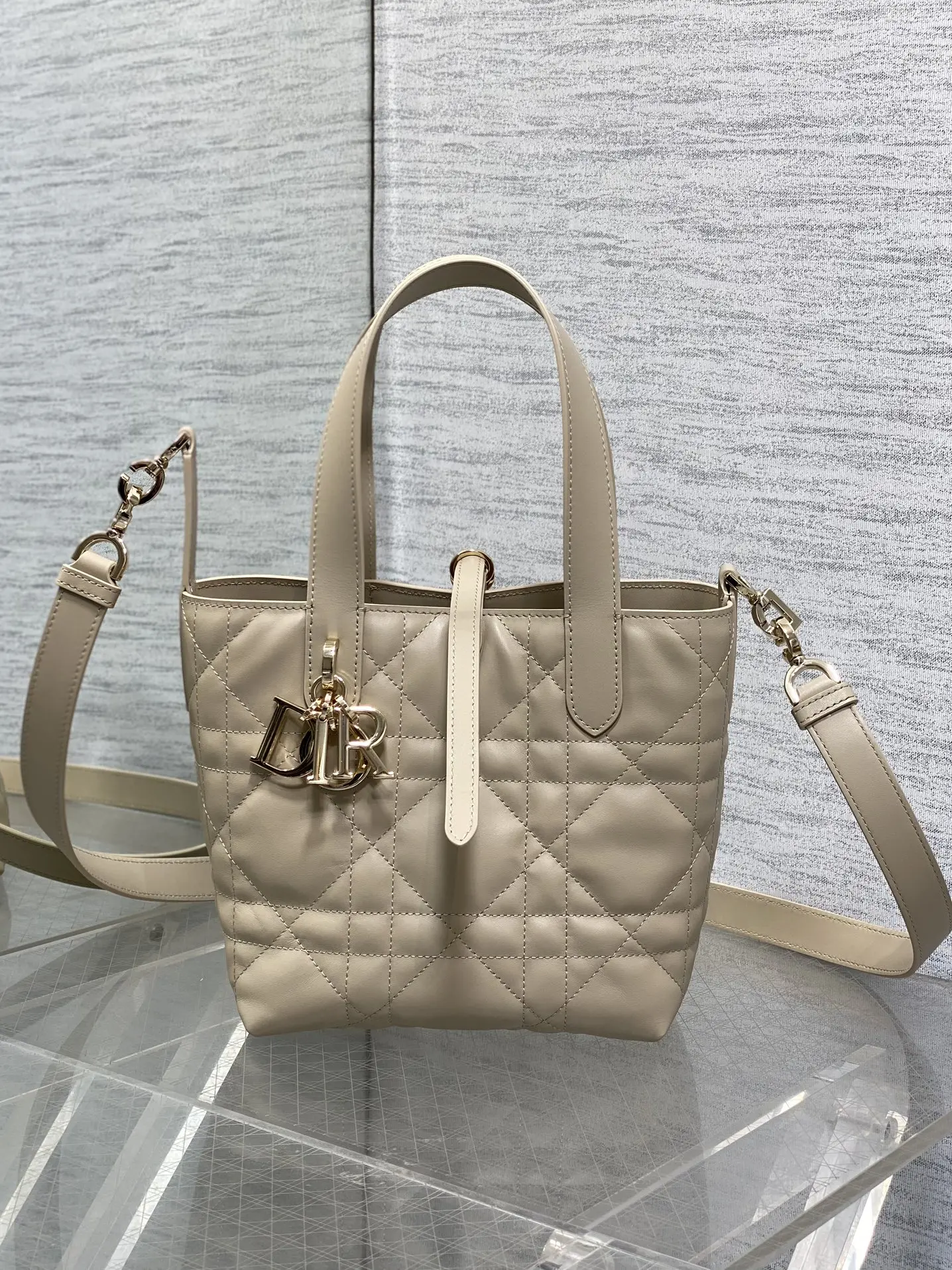 迪奥银油蜡皮Toujours竖版系列迷你斜挎包 女士斜挎包