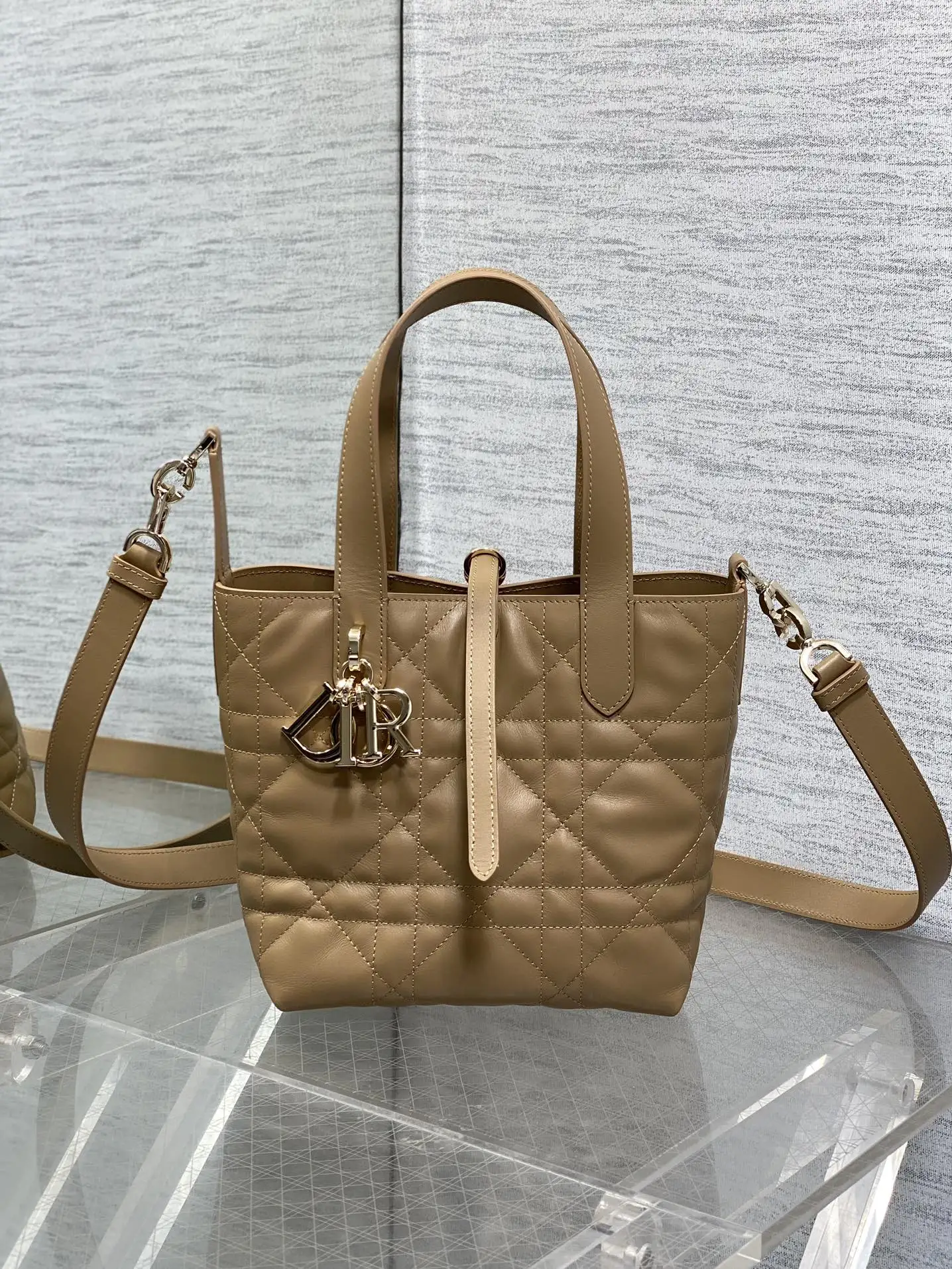 迪奥银油蜡皮Toujours竖版系列迷你斜挎包 女士斜挎包