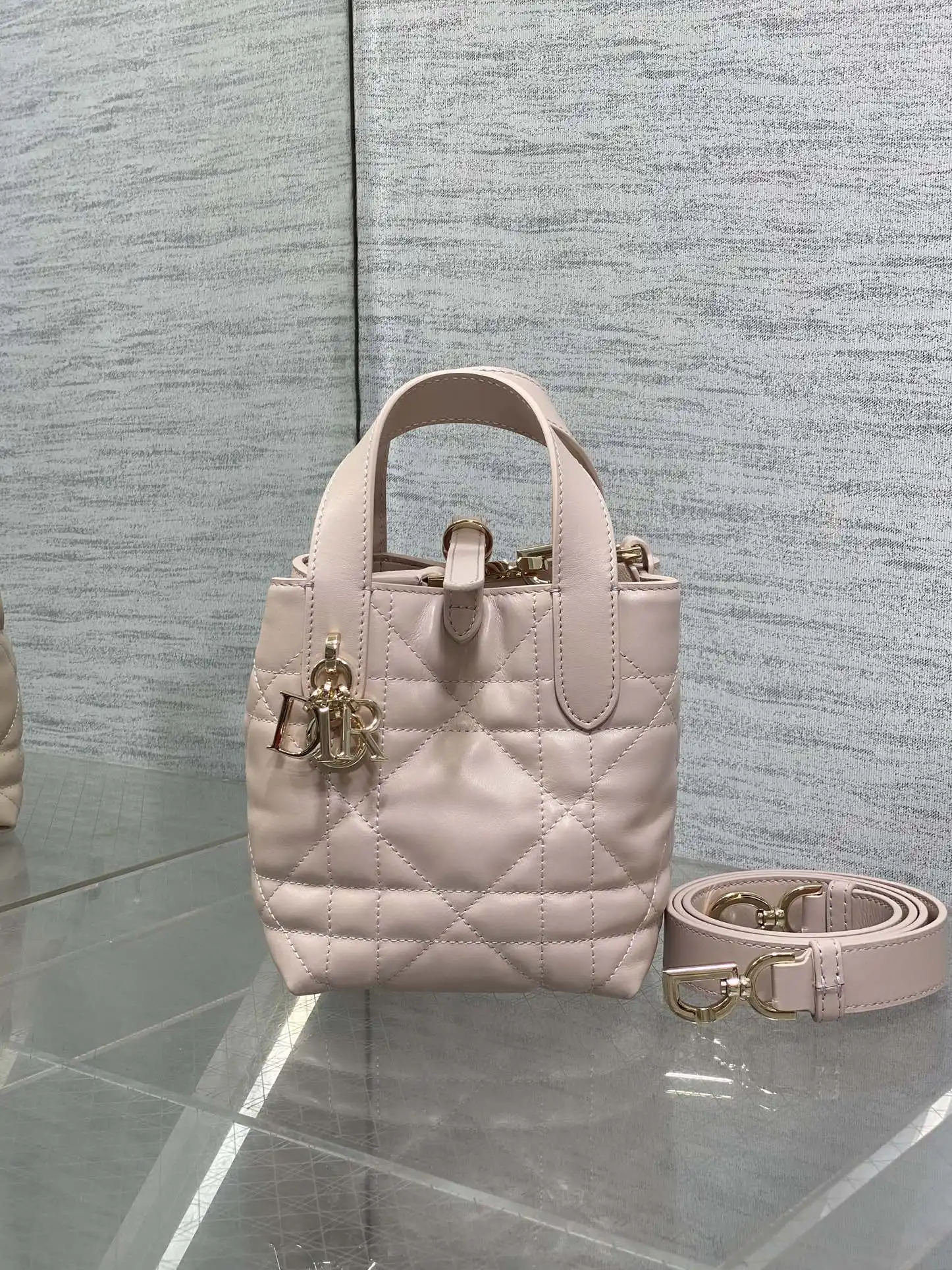 迪奥胭脂粉竖版系列迷你斜挎包 女士斜挎包 - 细节图 1