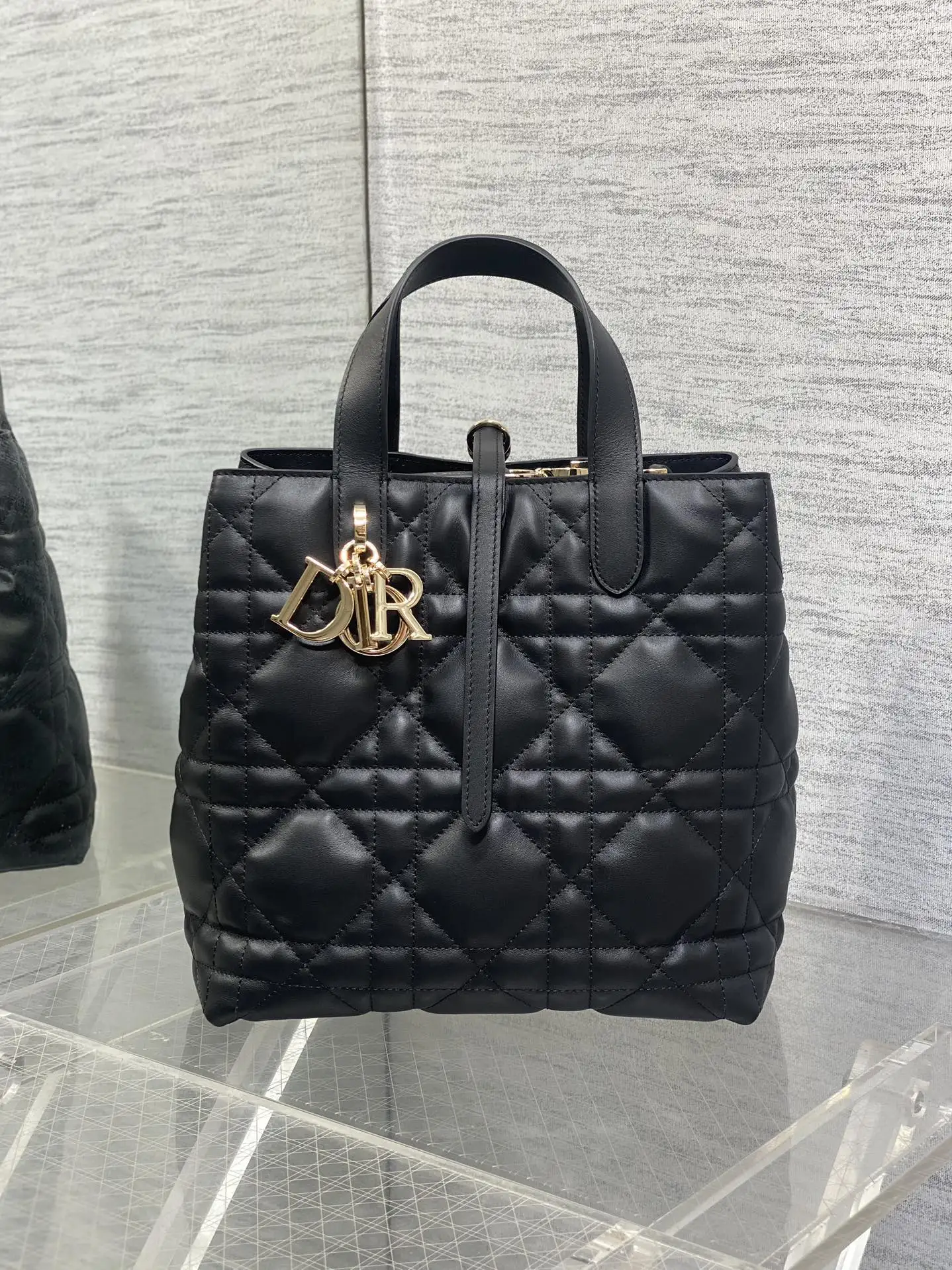 迪奥银油蜡皮Toujours竖版系列迷你斜挎包 女士斜挎包 - 细节图 2