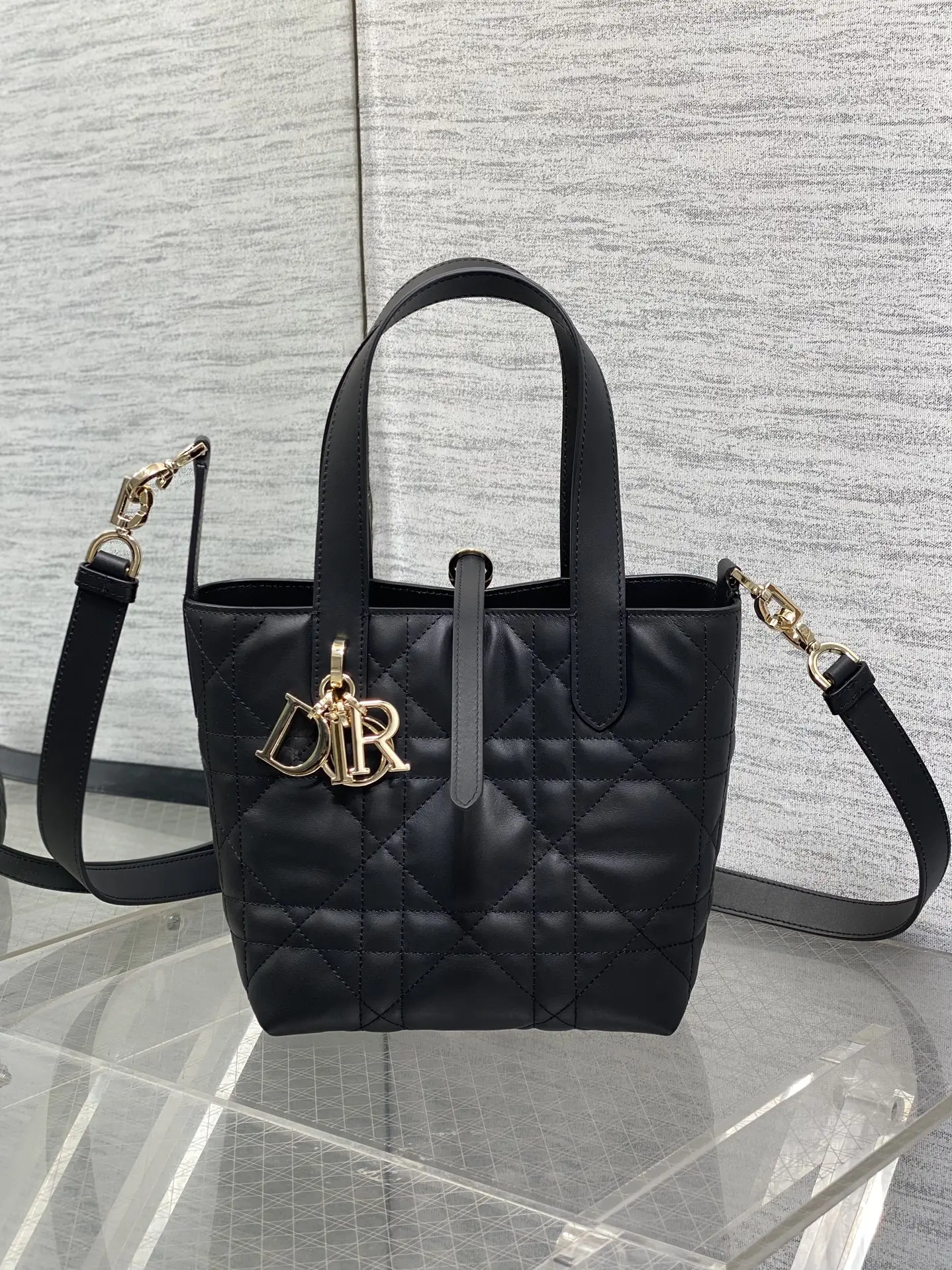 迪奥银油蜡皮Toujours竖版系列迷你斜挎包 女士斜挎包