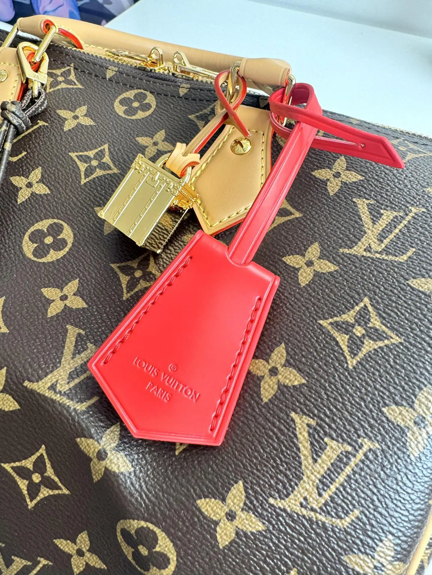 LVM11945 涂层帆布手袋 女士斜挎包 - 细节图 5