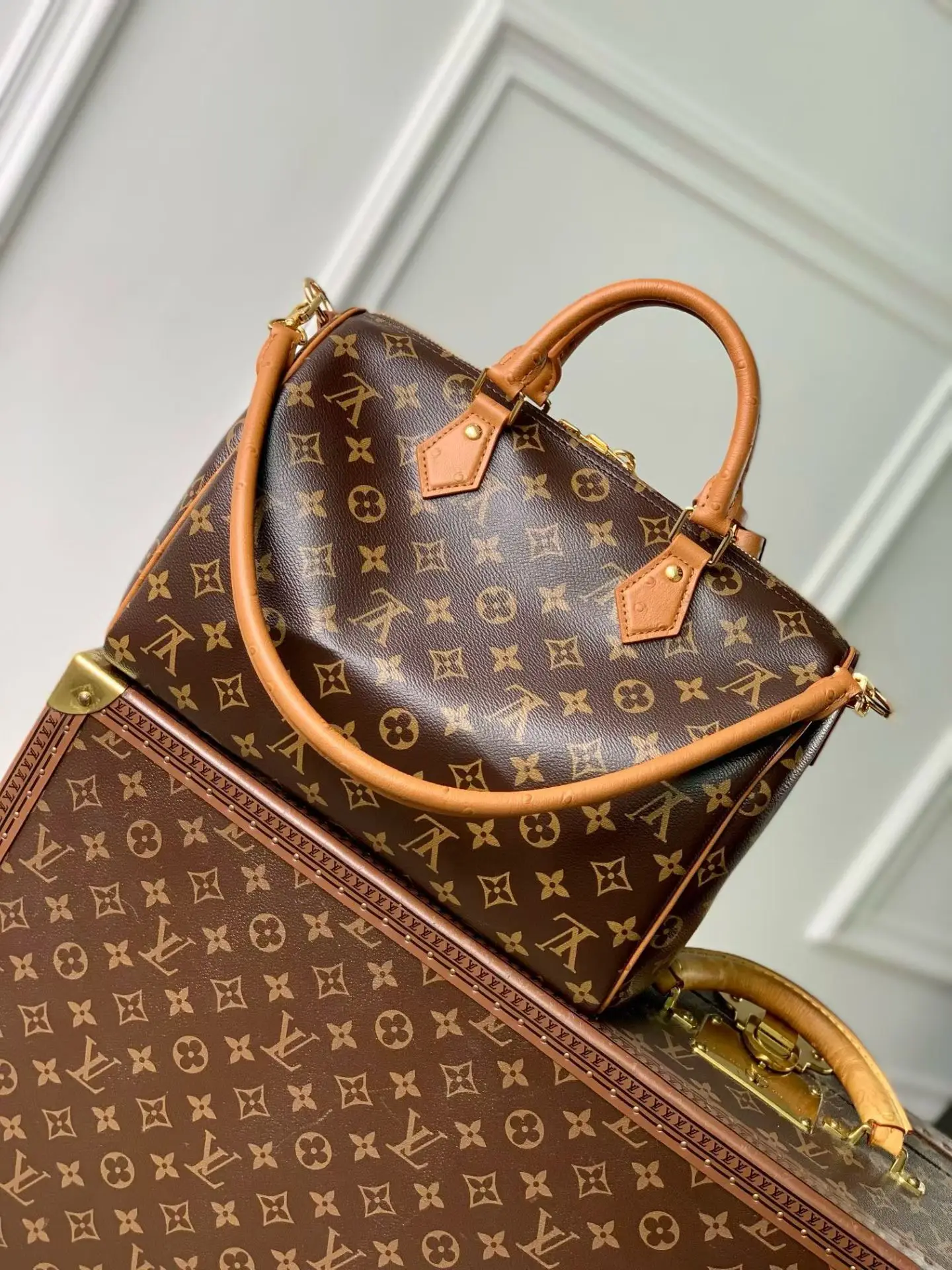 Louis Vuitton M87212 Coated Canvas Handbag Women s Shoulder Bag - Detail view 3