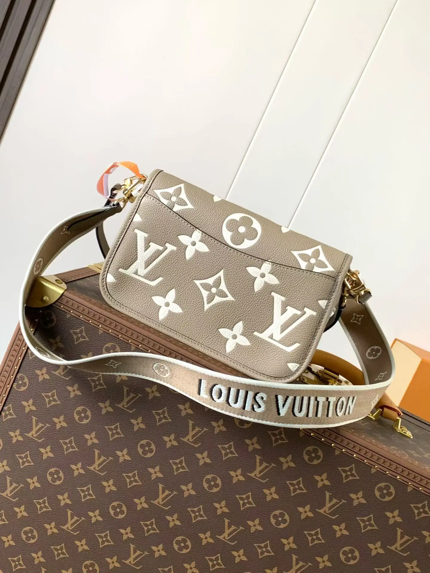 LVM46583 压纹皮革手袋 女士斜挎包 - 细节图 2