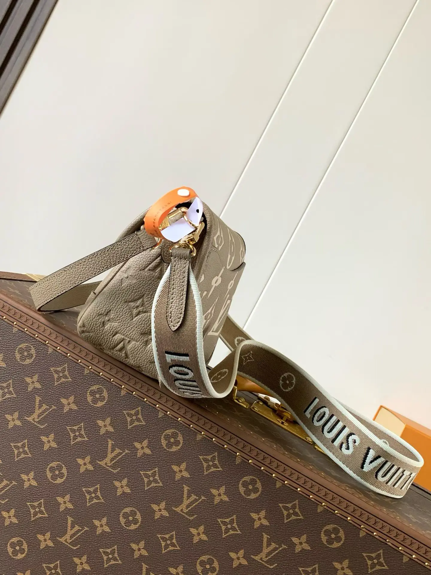 LVM46583 压纹皮革手袋 女士斜挎包 - 细节图 3