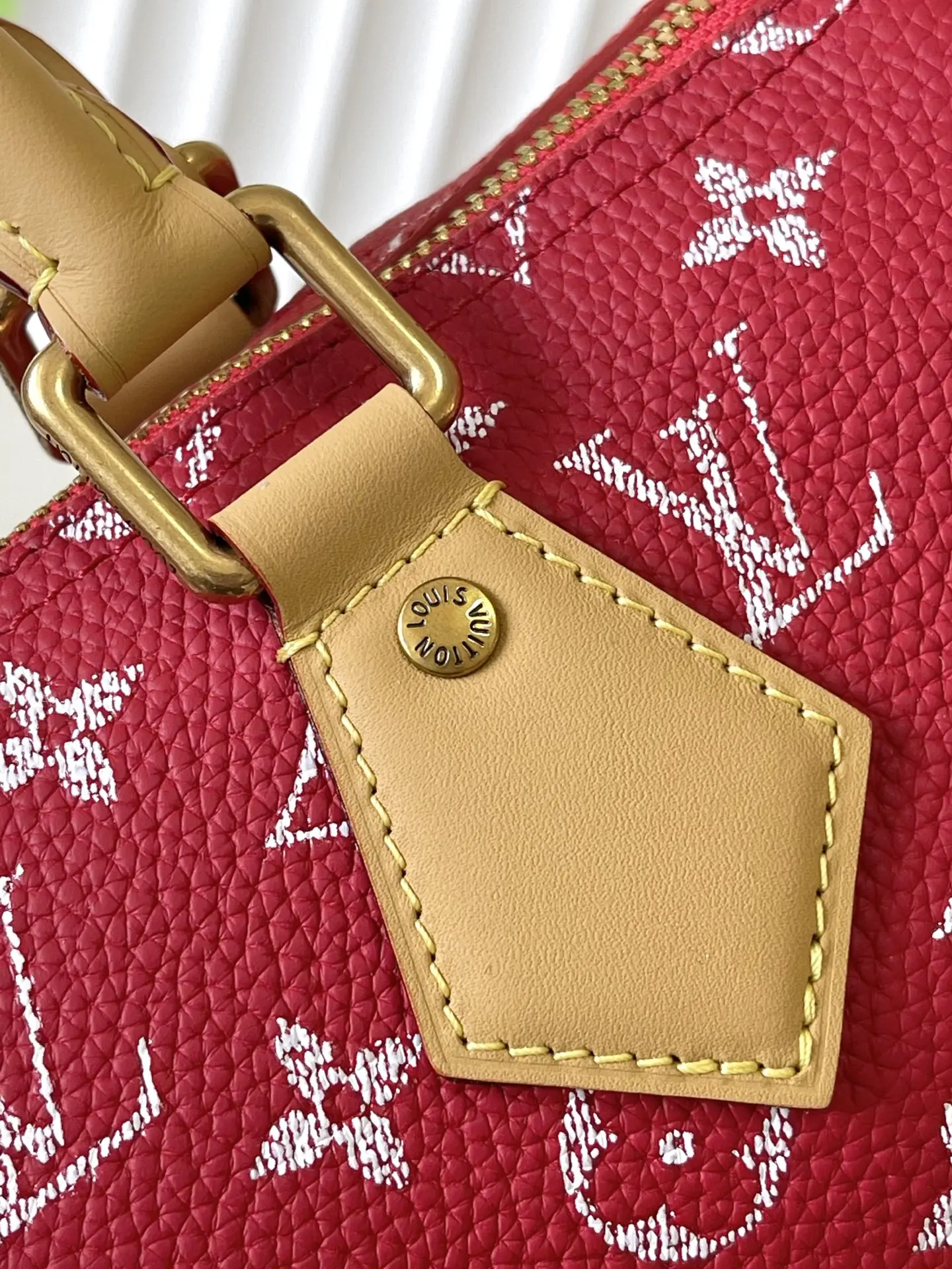 Louis Vuitton M24425 SPEEDY P9 Full Leather Pillow Bag Handheld Crossbody Bag - Detail view 6