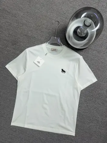 简约圆领新款短袖T