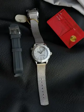 007-Seamaster Diver 腕表  男士机械腕表